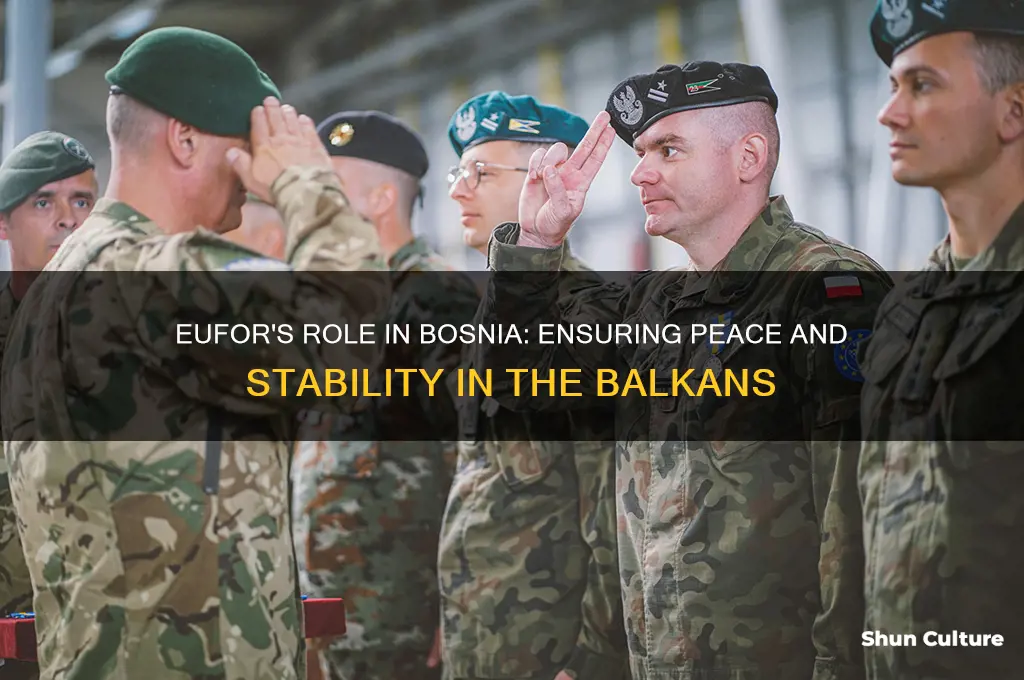 why is eufor in bosnia