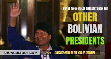 Evo Morales: A Singular Bolivian President