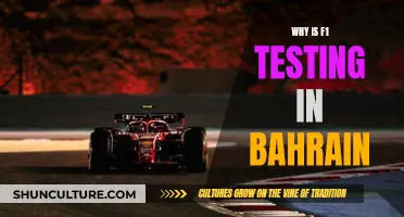 F1 Testing in Bahrain: A Strategic Choice