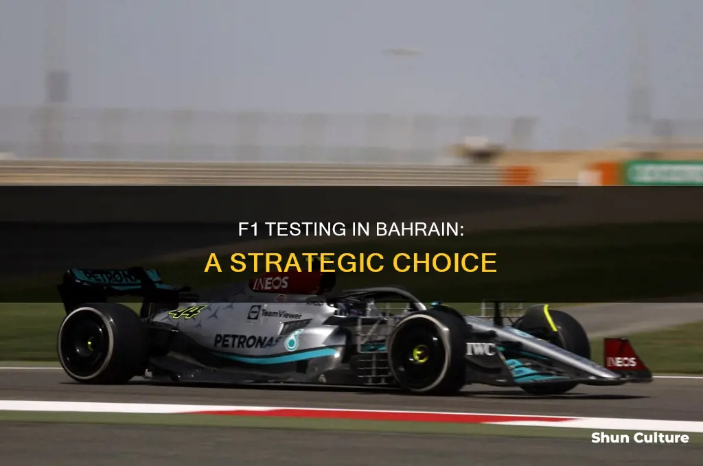 why is f1 testing in bahrain