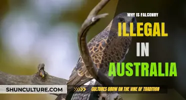 Falconry Banned in Australia: What's the Reason?