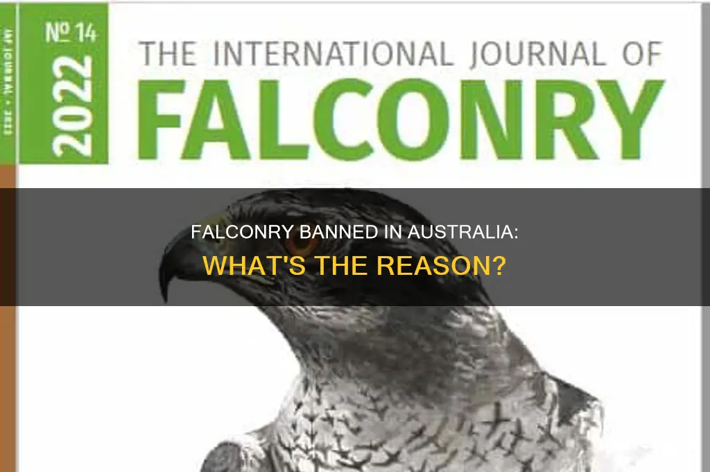 why is falconry illegal in australia