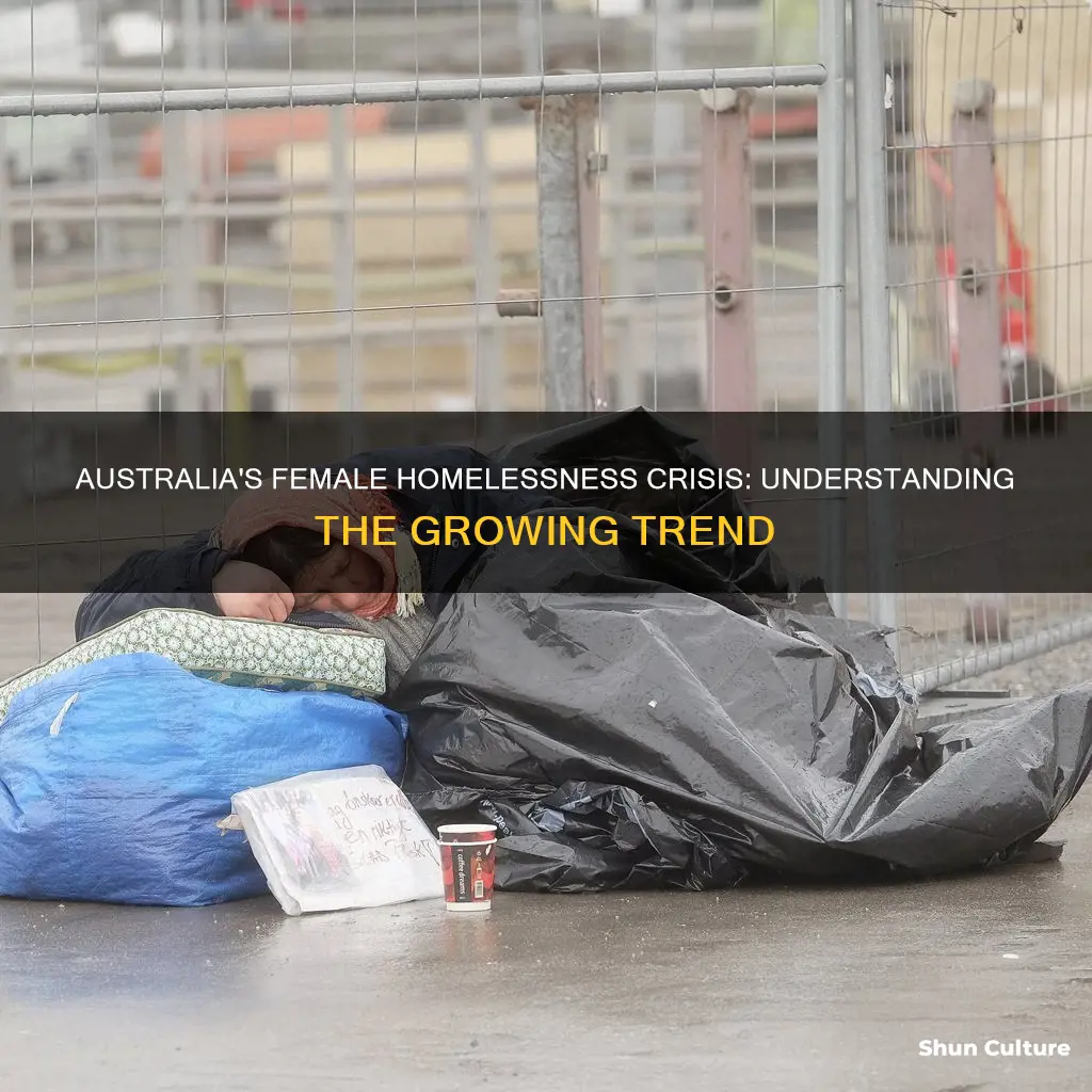 why is female homelessness growing in australia
