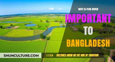 Feni River's Vital Role in Bangladesh's Economy and Ecology