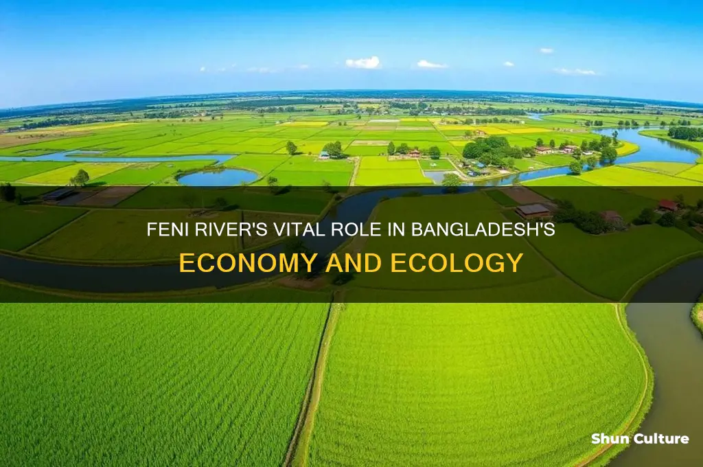 why is feni river important to bangladesh