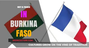 France's Military Presence in Burkina Faso: A Historical and Geopolitical Analysis