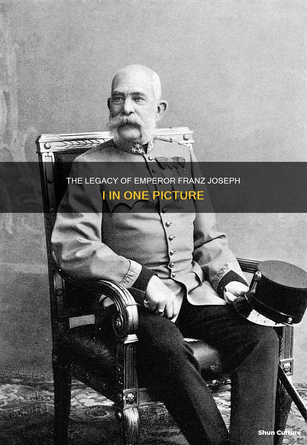 why is franz joseph I austria picture important