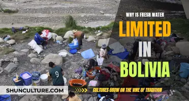 The Bolivian Water Crisis: A Looming Threat