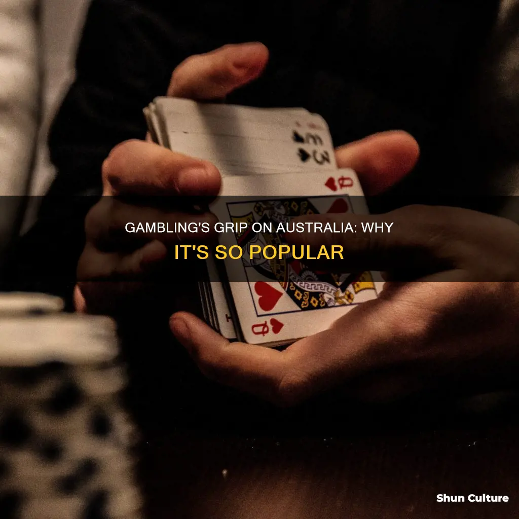 why is gambling so popular in australia
