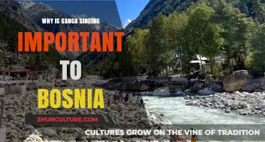 Ganga Singing: A Cultural Lifeline for Bosnia's Identity and Unity