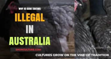 Gene Editing: Australia's Strict Regulations Explained