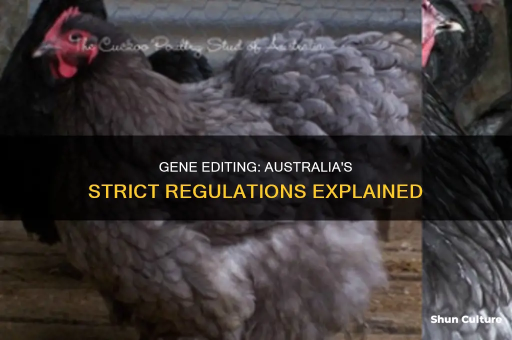 why is gene editing illegal in australia