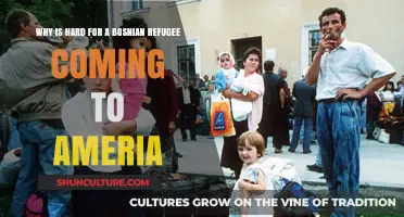 Challenges Faced by Bosnian Refugees in America: A Struggle for Belonging