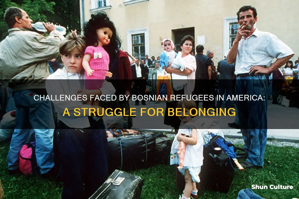 why is hard for a bosnian refugee coming to ameria