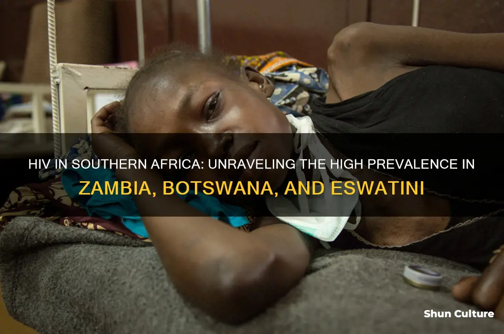 why is hiv so prevalent in zambia botswana and swaziland