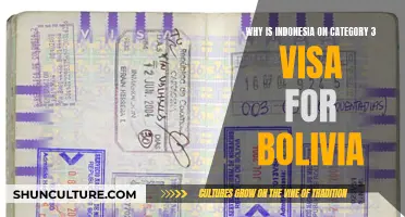 Visa Restrictions: Indonesia's Category 3 Status in Bolivia