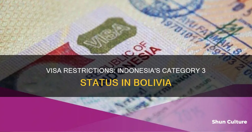 why is indonesia on category 3 visa for bolivia