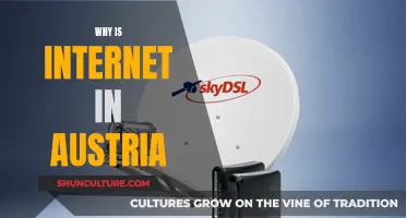 Austria's Internet: A Nation's Digital Evolution