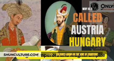 The Origins of Austria-Hungary: A Historical Overview