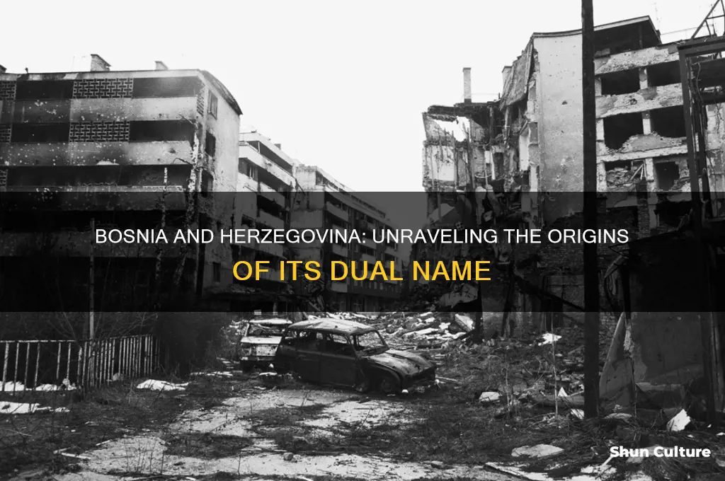 why is it called bosnia and herzegovina