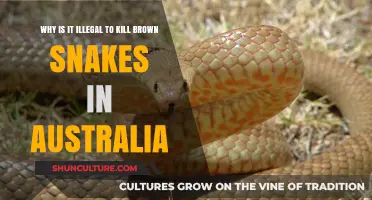 Brown Snake Slaughter: Australia's Deadly Law