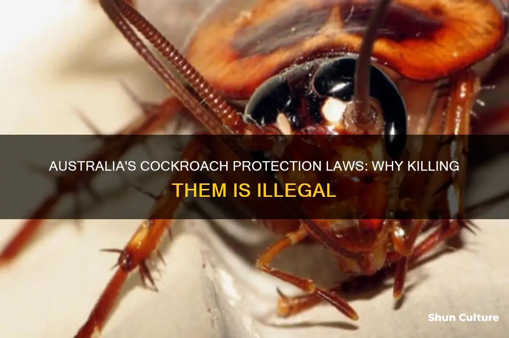 why is it illegal to kill cockroaches in australia