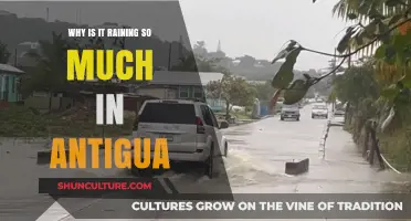 Unusual Rainfall in Antigua: Causes and Climate Insights