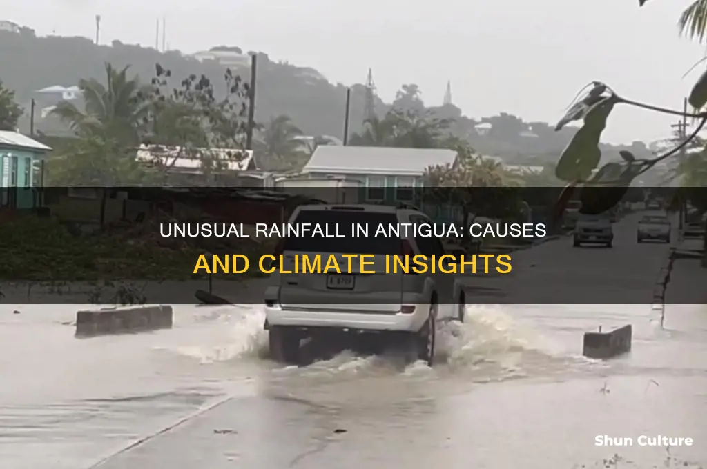 why is it raining so much in antigua