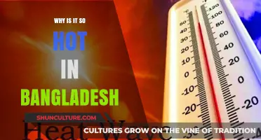 Bangladesh's Scorching Heat: Causes, Impacts, and Climate Change Concerns