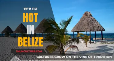 Belize's Heat: Why So Intense?