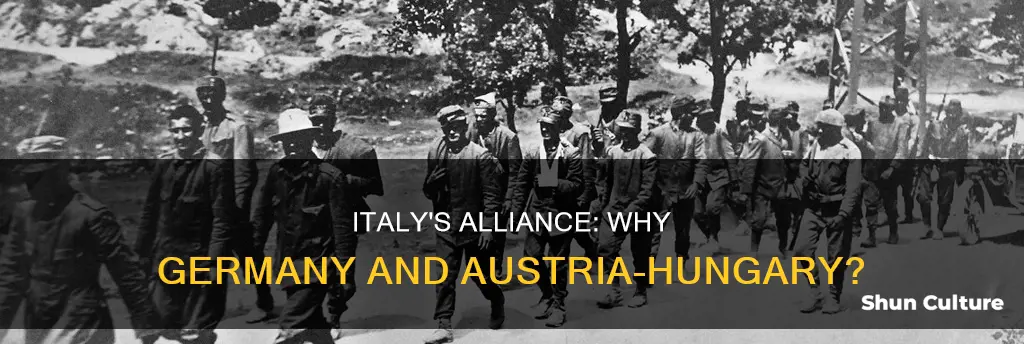 why is italy allied with germany and austria-hungary in 1914