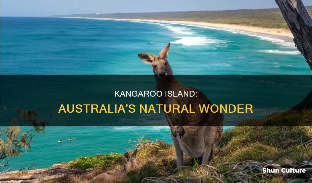 why is kangaroo island important to australia