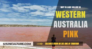 The Pink Lake Hillier: A Natural Wonder in Australia