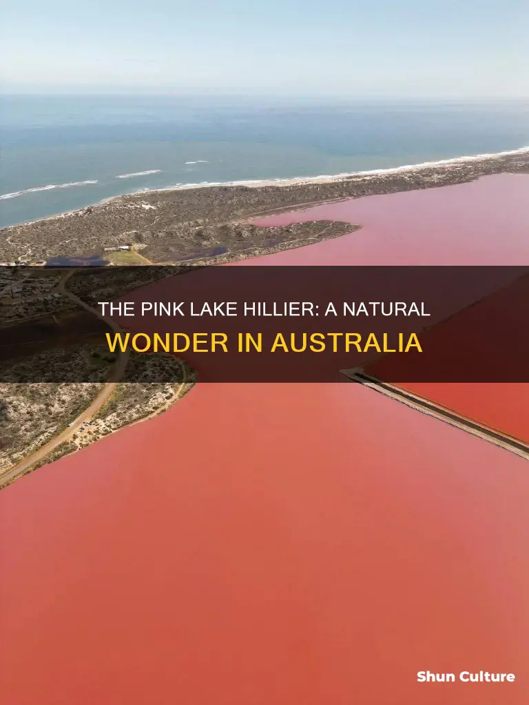 why is lake hillier in western australia pink