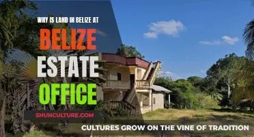 Belize Estate Office: Land Opportunities