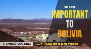 Bolivia's Rich History: The Significance of Lead