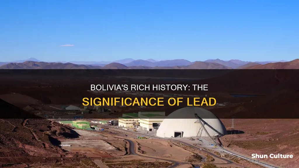 why is lead important to bolivia