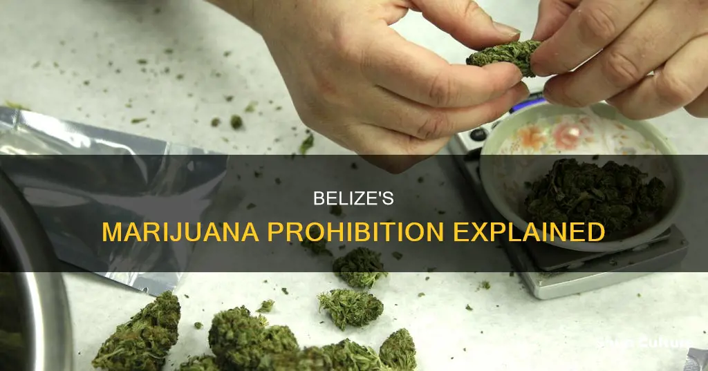 why is marijuana illegal in belize