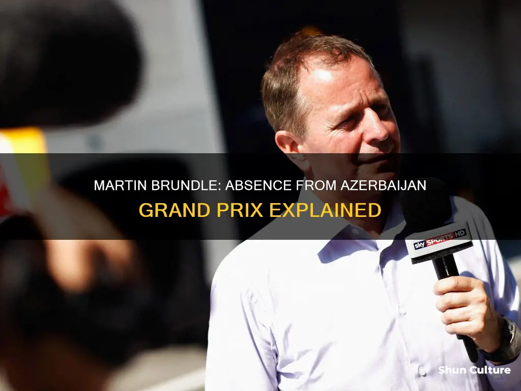 why is martin brundle not at f1 azerbaijan