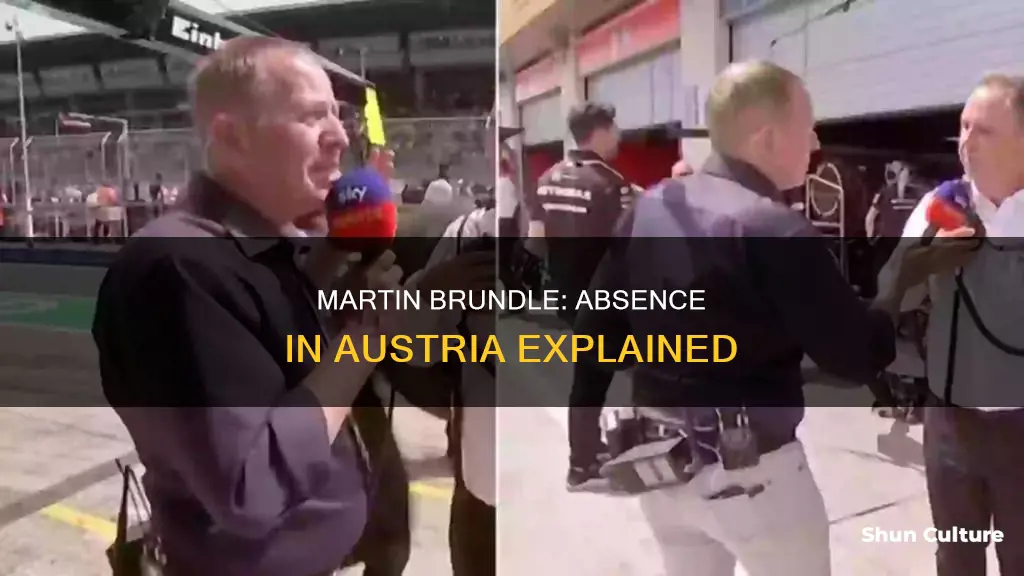why is martin brundle not in austria