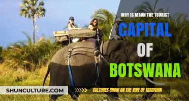 Maun: Botswana's Thriving Tourist Hub and Gateway to Adventure