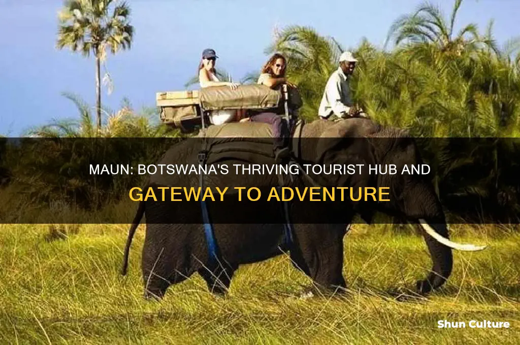 why is maun the tourist capital of botswana