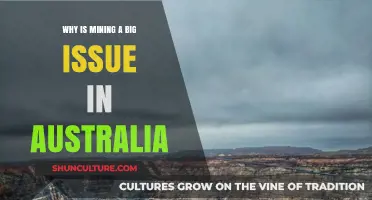 Australia's Mining: Boon or Bane?