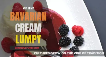 Bavarian Cream Troubles: Why the Lumps?