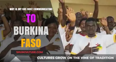 Unexpected International Connections: Investigating Your SVC Host's Burkina Faso Link