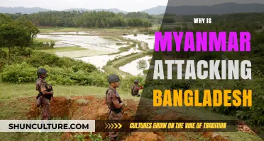 Myanmar's Aggression Against Bangladesh: Unraveling the Conflict's Complex Causes