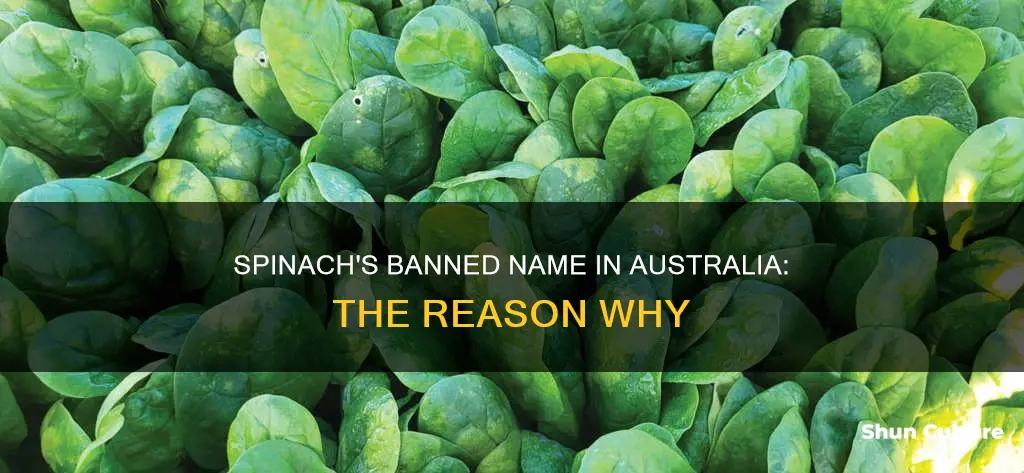 why is name spinach banned in australia