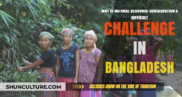 Bangladesh's Struggles: Overcoming Hurdles in Natural Resource Conservation Efforts