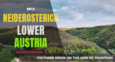 The Niederosterich Mystery: Unveiling Austria's Hidden Gem