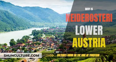 The Unique Identity of Lower Austria's Neiderosterich